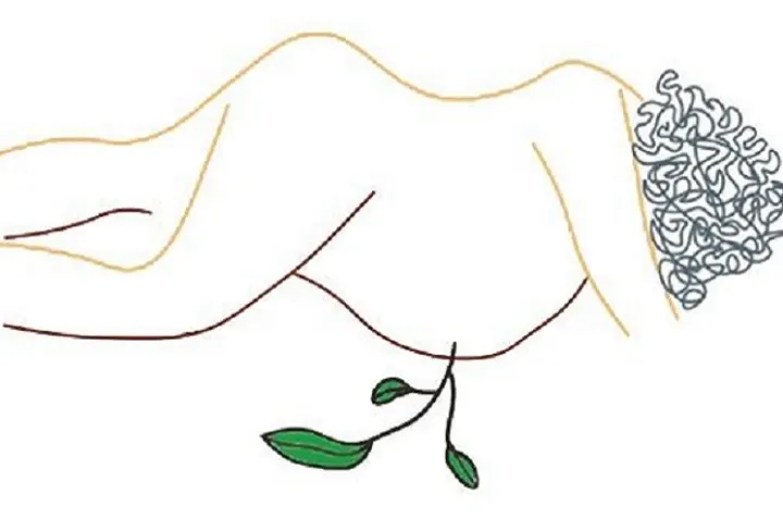 بارداری و کووید۱۹