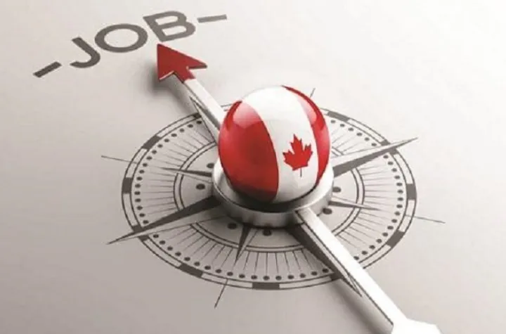 کدام نوع پیشنهاد کاری برای مهاجرت به کانادا مورد تأیید است؟