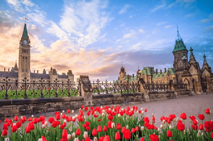 رکورد جدید گزینش از حوزه رقابتی اکسپرس انتری