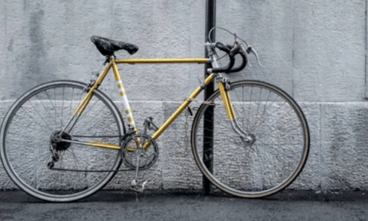 کارآفرین و دوچرخه‌سوار ایرانی، اتاوایی‌ها را به رکاب زدن و پارو زدن تشویق می‌کند