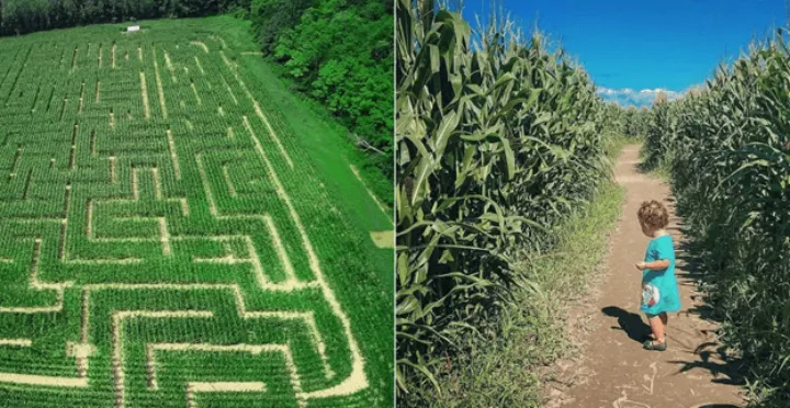 ۵ لابیرنت زیبا در اطراف مونترال