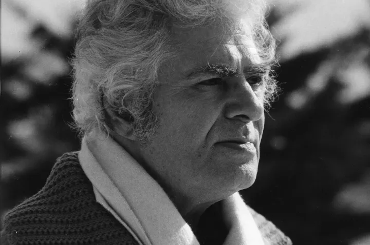 غولی آرام بر صندلی چرخ‌دار؛ یادبود احمد شاملو