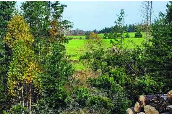 توفانِ ژینا