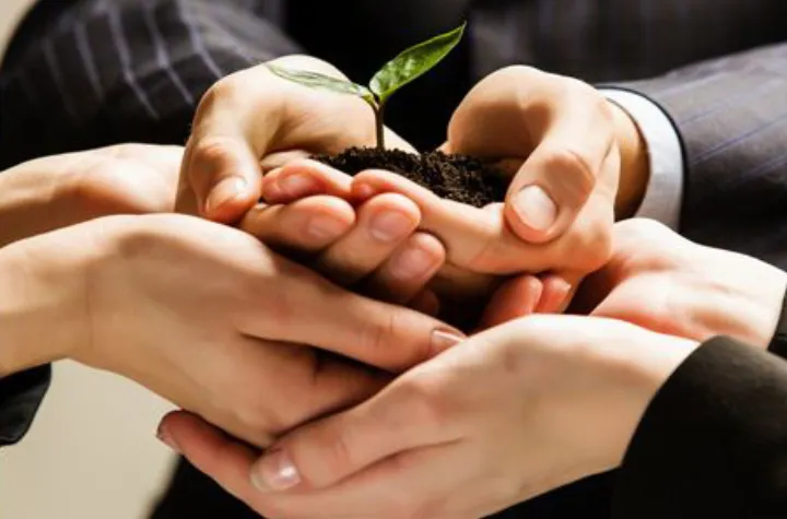 چرا این شورا می‌تواند کم‌هزینه‌ترین و پرفایده‌ترین گذار را محقق کند