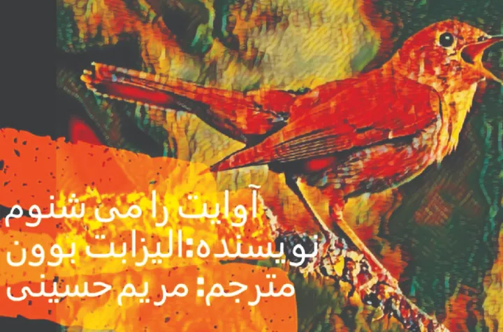 داستان کوتاه: آوایت را می‌شنوم