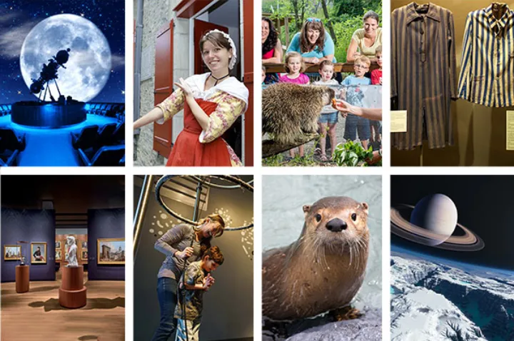 معرفی ۷ محل دیدنی مونترال برای ۷ سلیقه گوناگون