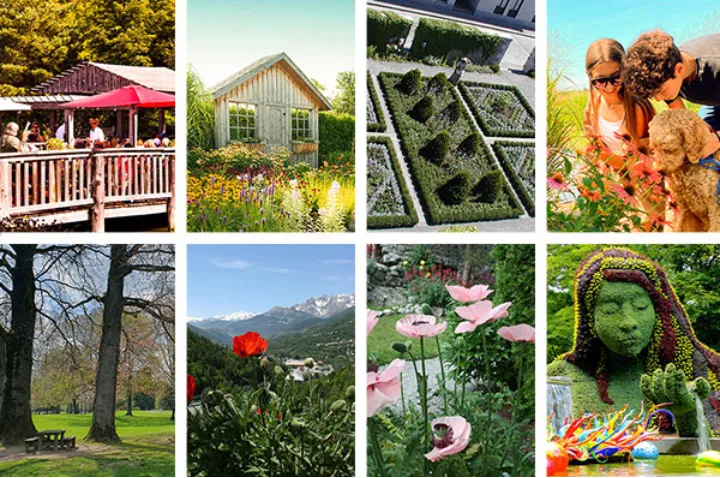 قفسم برده به باغی و دلم شاد کنید!