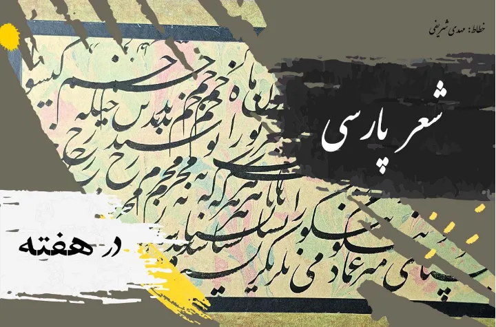 دوستی؛ داری زدند؛ انتخابات