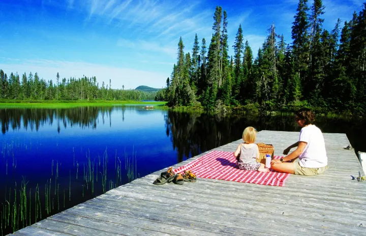 تابستان به کبک باز خواهد گشت!