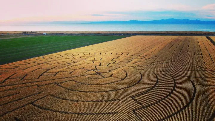 قدم زدن در هزارتوی عظیم کاموراسکا