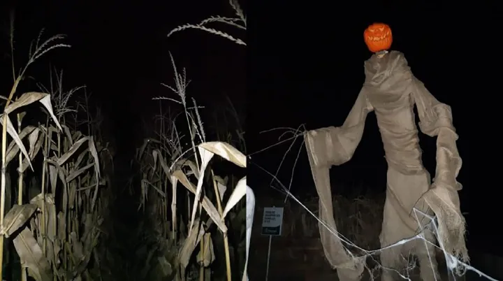 ورود به هزارتویی عظیم در شب هالووین