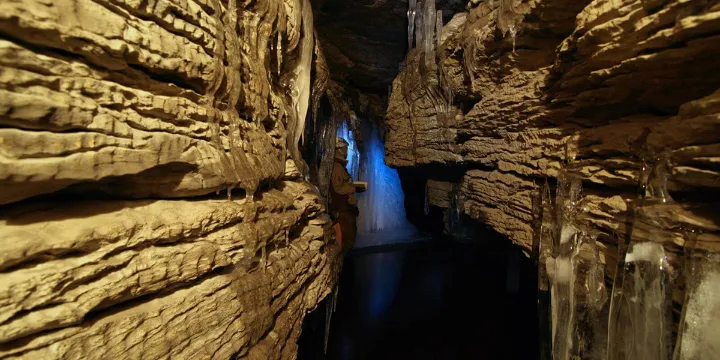 اسم شب: پورتنوف Portneuf