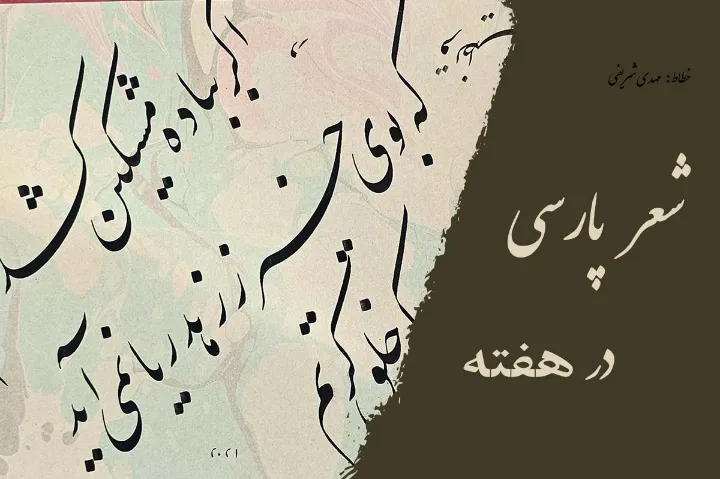 دو شعر از محسن خیمه‌دوز