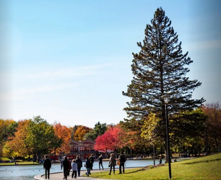 مون-رویال در پاییز تماشایی‌تر از دیگر فصول است