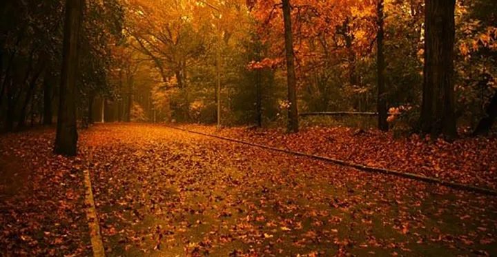 رسیده از خوانندگان: سروده‌ای از منصور لطفی هروی