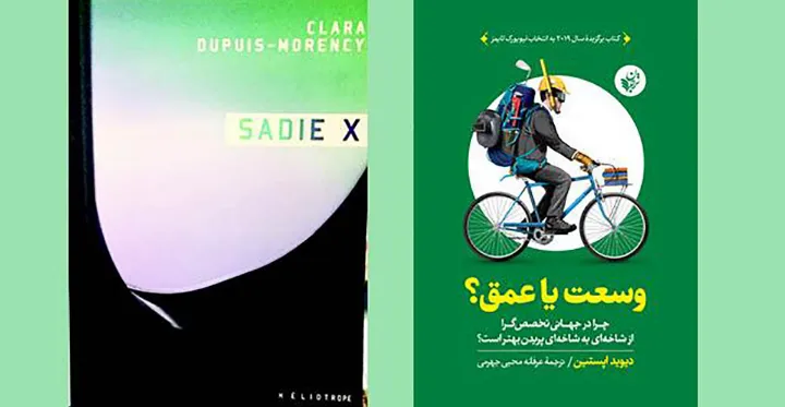 کتاب «وسعت یا عمق؟» و رمان «Sadie x»