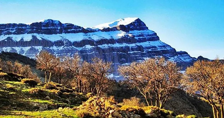 شکار آهو | داستانی از لاله زارع