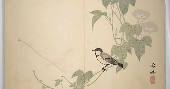 نمونه‌هایی از نوشته‌‌های مهیار مظلومی