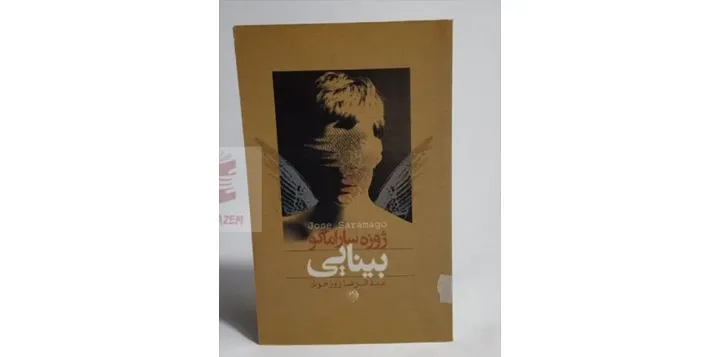 معرفی کتاب: بینایی