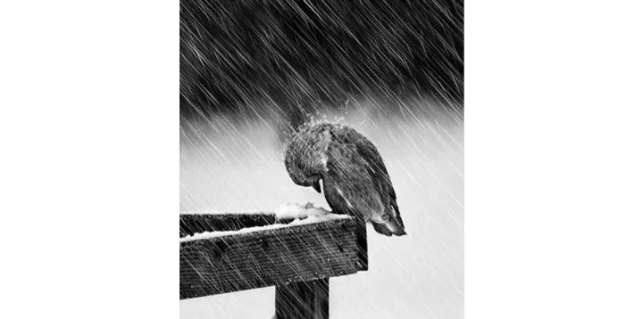 داستان کوتاه: «من تنها نیستم»