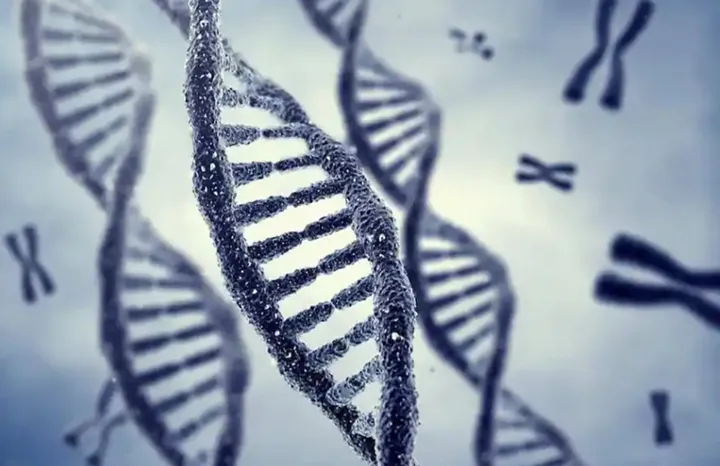 زن تورنتویی در ۵۳ سالگی پدرش را به کمک آزمایش‌های دی‌ان‌ای پیدا کرد