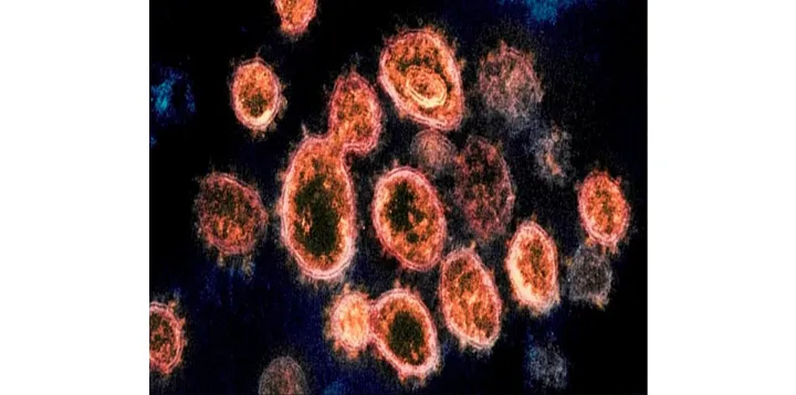 گسترش کروناویروس سویه FLiRT در کانادا