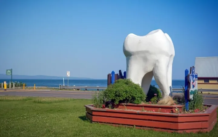 دسترسی نابرابر کانادایی‌ها به برنامه فدرال خدمات دندانپزشکی