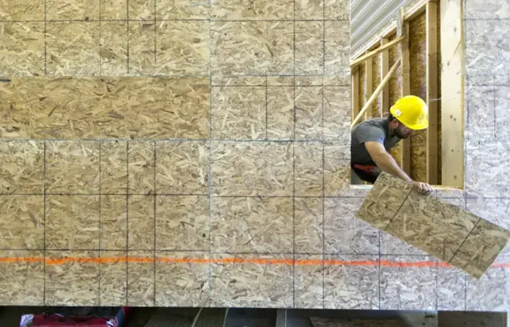 رشد انفجاری نرخ بیکاری مهاجران در کانادا