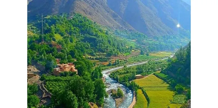 افغانستان؛ دست‌های لرزان و دل‌های پرجوش