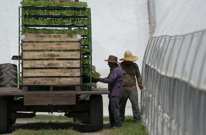 گزارشگر ویژه سازمان ملل: کانادا، سرزمینی حاصلخیز برای برده‌داری مدرن