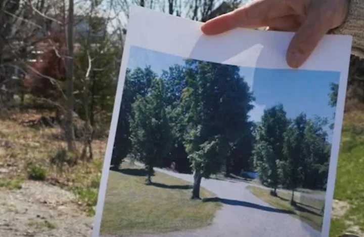 جریمه ۸۰ هزار دلاری برای همسایه مردم‌آزار