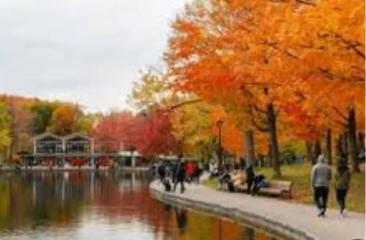 این هوای مطبوع بیشتر از چند روز دیگر مهمان کبکی‌ها نخواهد بود