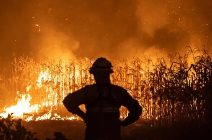 دومین سپتامبر گرم زمین امسال ثبت شد