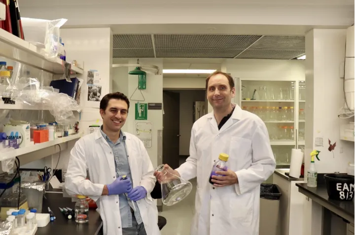 میکروب‌های نجات‌بخش علیه سرطان