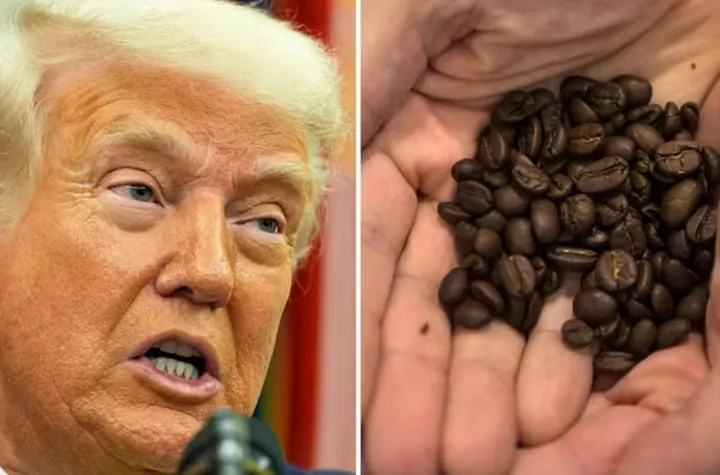 تعرفه‌های ترامپ قهوه کانادایی‌ها را گران کرد