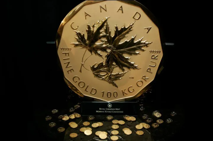 یک میلیون دلار طلا در دل طبیعت کانادا پنهان شد 